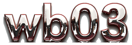 wb03 logo